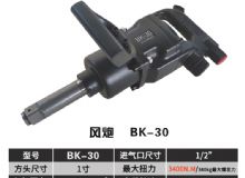 點擊查看詳細信息<br>標題：BK-30 閱讀次數(shù)：1705